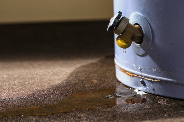 Best Fire Damage Restoration  in Traer, IA