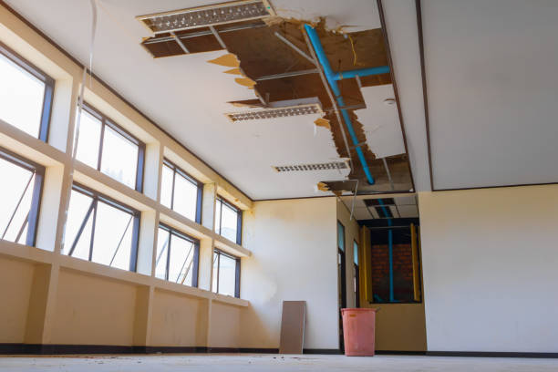 Best Flooded house restoration  in Traer, IA