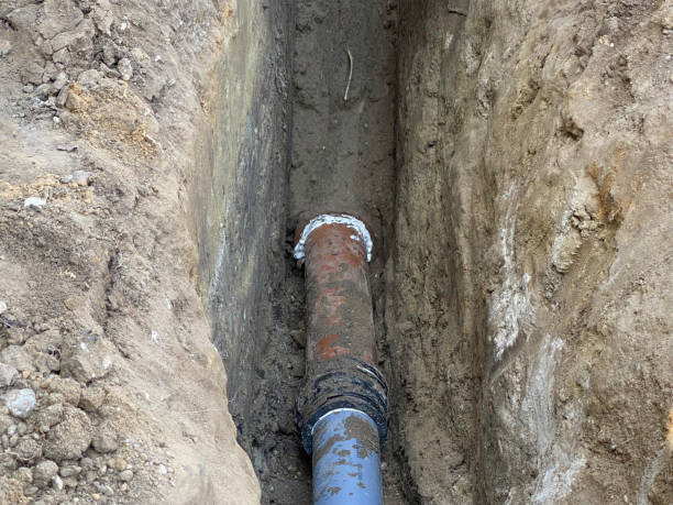 Best Flood restoration services  in Traer, IA