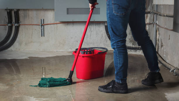 Carpet water damage restoration in IA