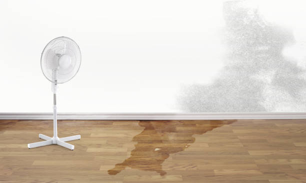Best Flood damage cleanup  in Traer, IA