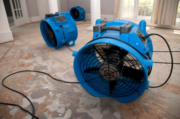  Traer, IA Water damage restoration Pros