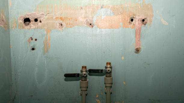Best Water damage restoration near me  in Traer, IA