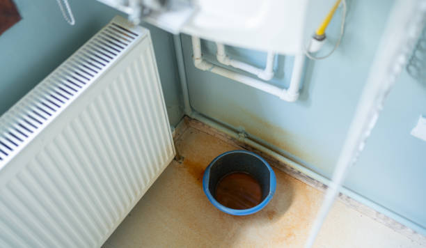 Best Water damage repair service  in Traer, IA