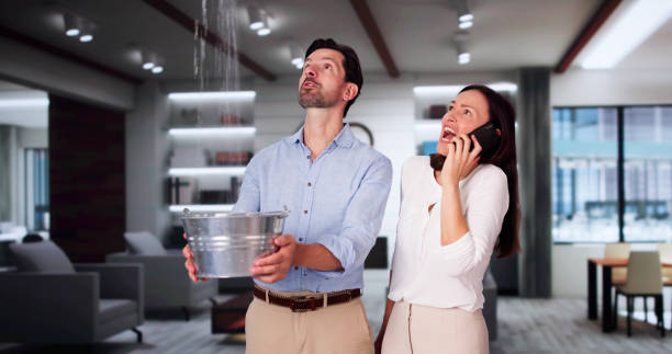 Best Sewage cleanup and water damage restoration  in Traer, IA
