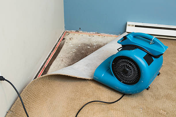 Best Emergency water damage restoration  in Traer, IA