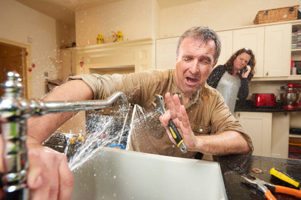 Best Basement water damage restoration  in Traer, IA
